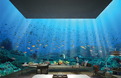 Underwater Lighting for the Red Sea Marine Life Institute