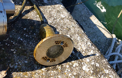 6 Months in the Adriatic. Zero Failures.